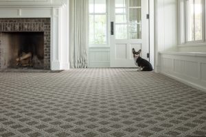 Dod near door on Carpet floor | Flooring Concepts