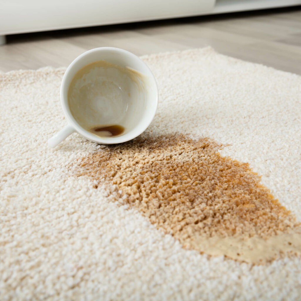 Carpet floor cleaning | Flooring Concepts